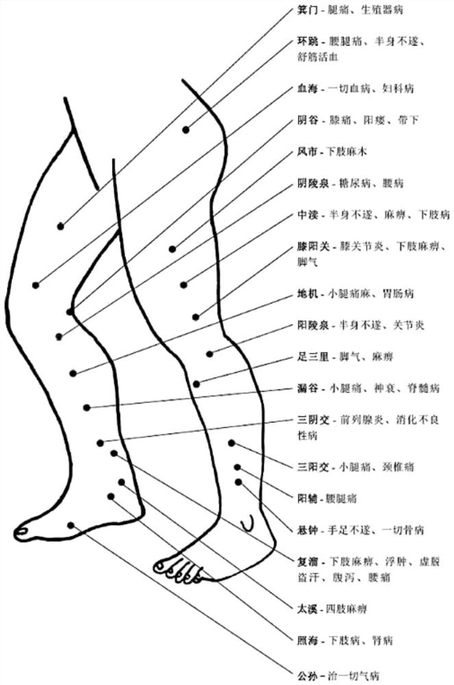 Leg physiotherapy device for internal medicine patient