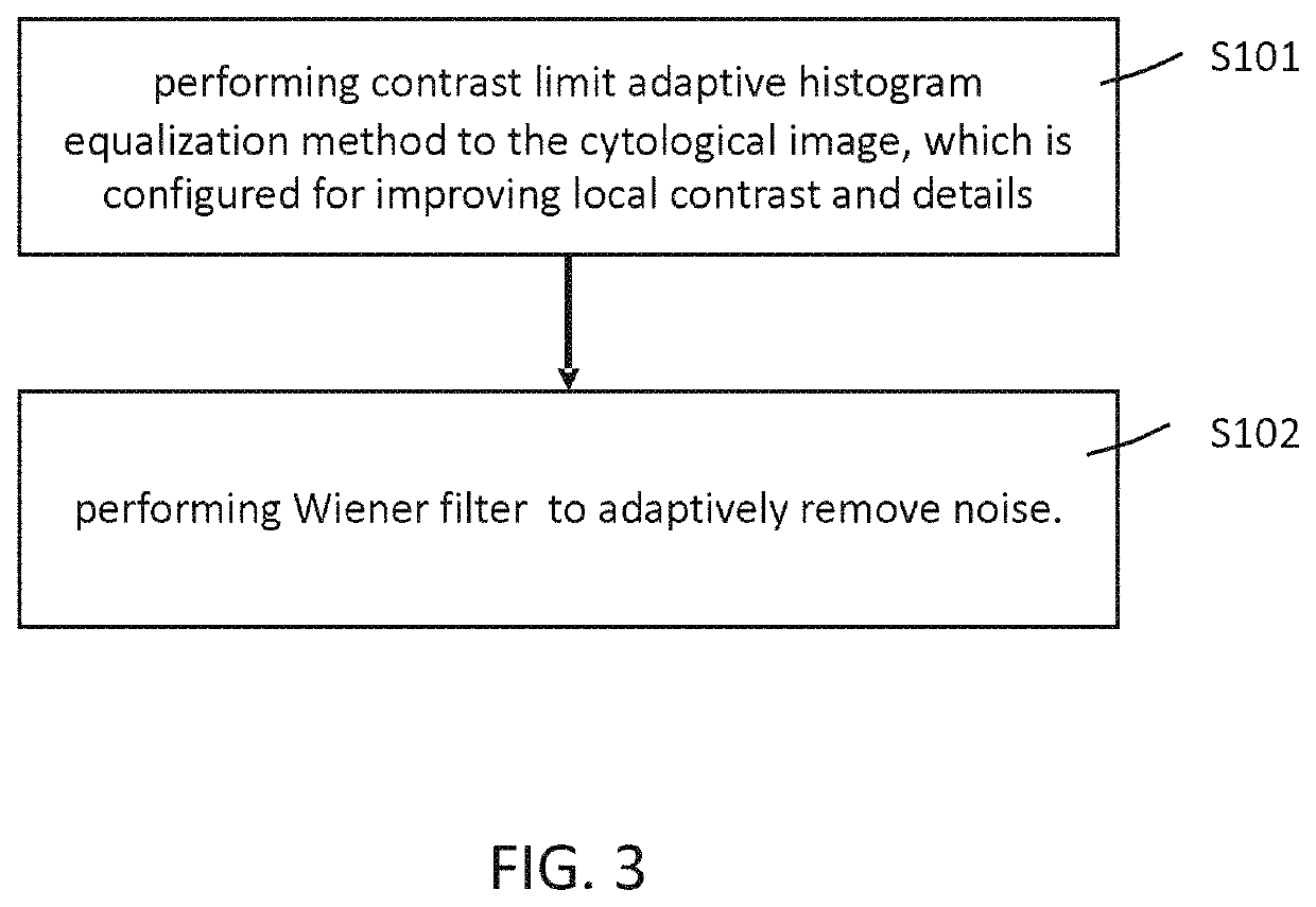 Method for determining cellular nuclear-to-cytoplasmic ratio