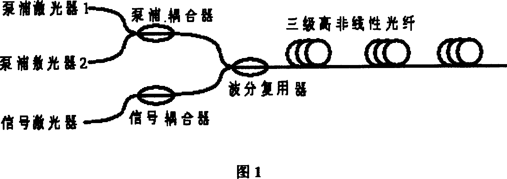 Double pump wide band optical fiber parameter amplifier