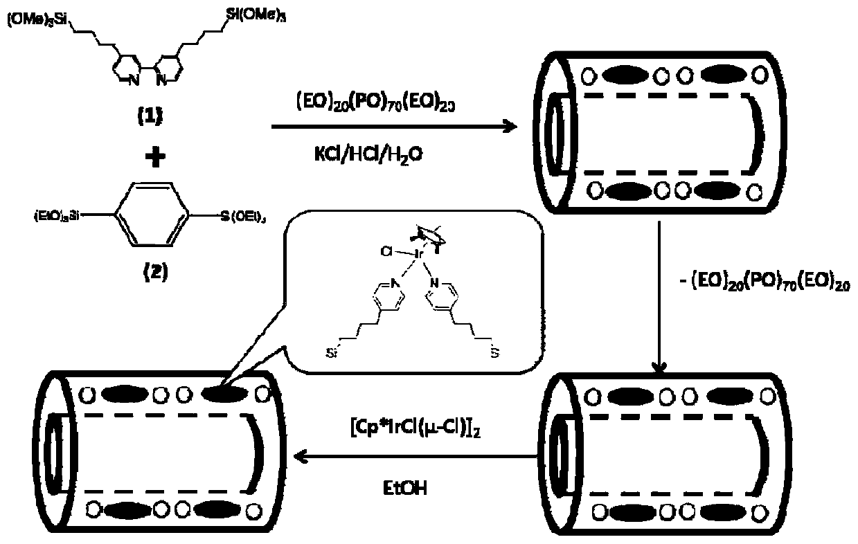 Iridium-based bipyridine-organosilicon nanotube heterogeneous catalyst and preparation method