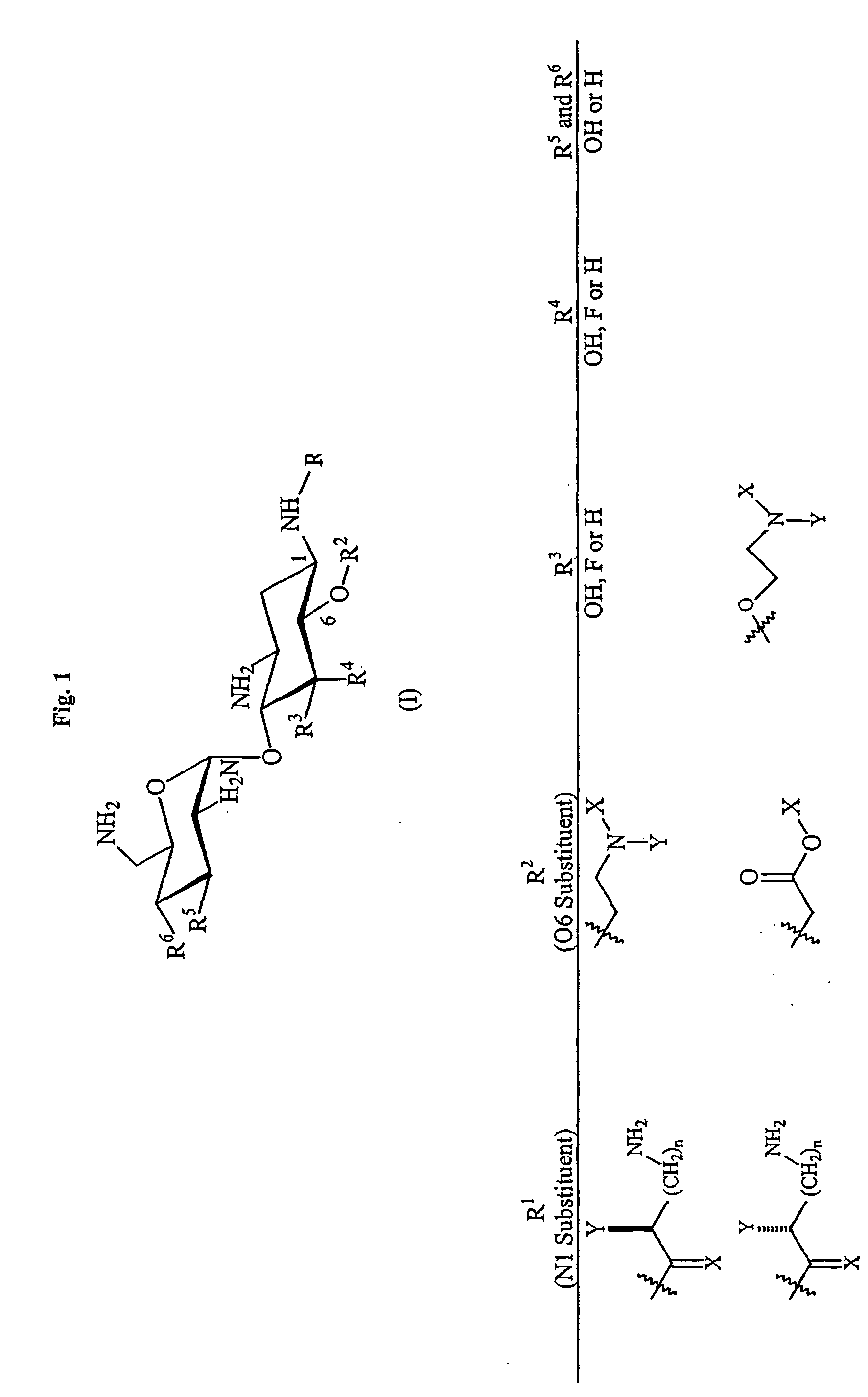 Aminoglycosides as antibiotics