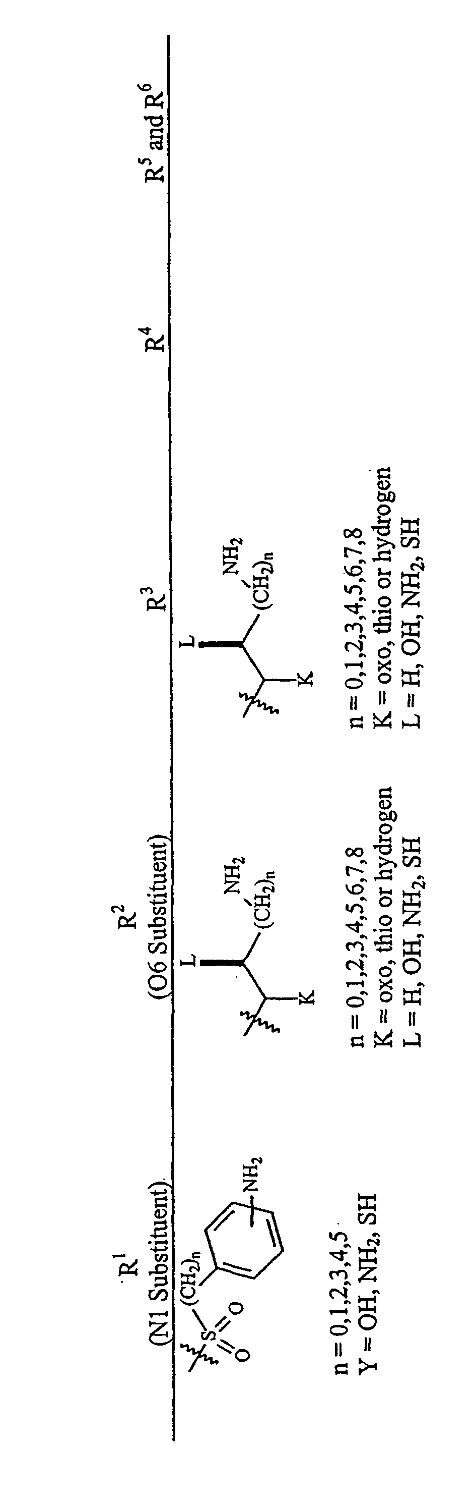 Aminoglycosides as antibiotics