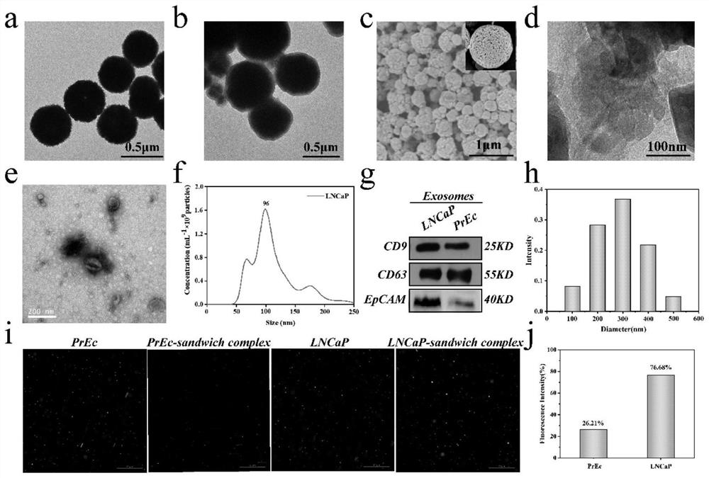 Micro-fluidic Raman chip and method for detecting exosome in blood based on micro-fluidic Raman chip