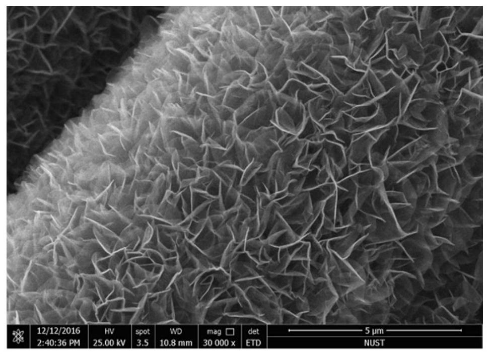 delta-mno  <sub>2</sub> Synthesis of Nanosheet Arrays