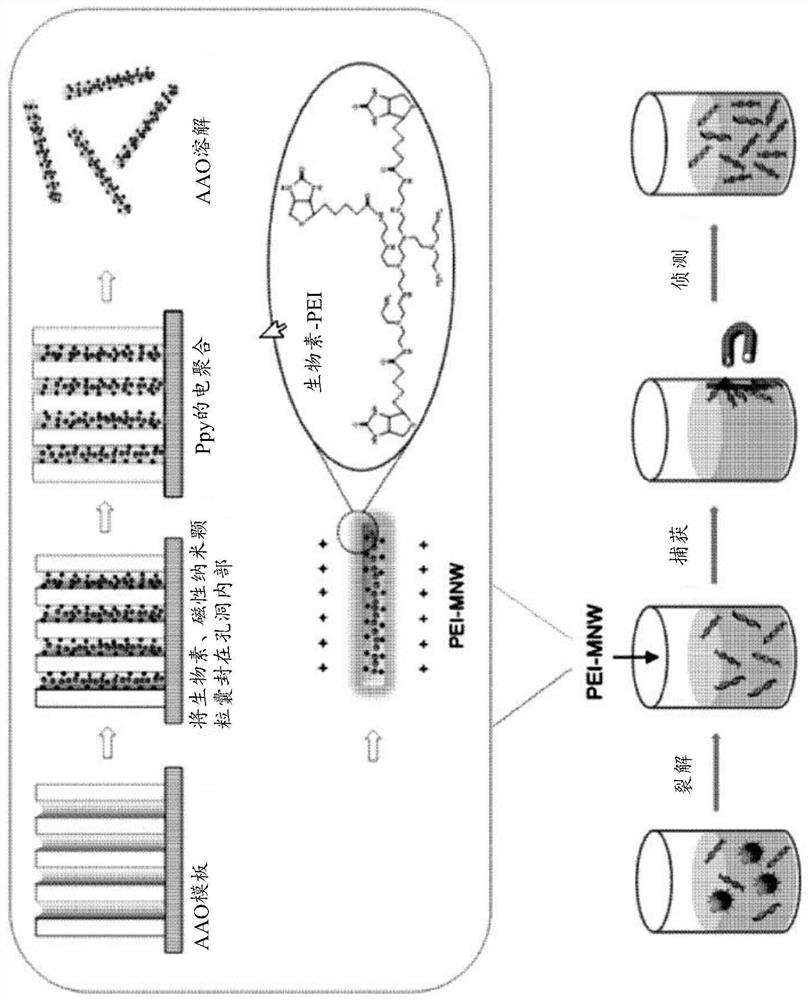 Method for diagnosing cancer using cfdna