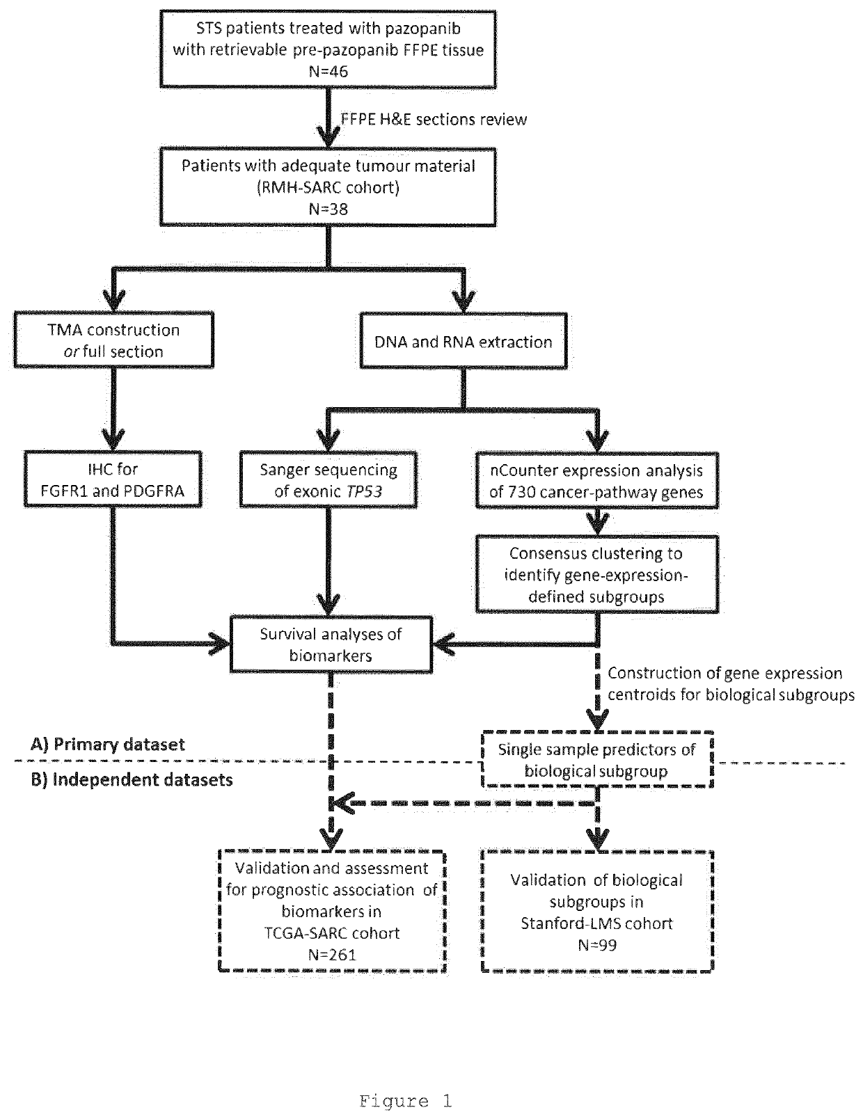 Materials and methods for stratifying and treating cancers