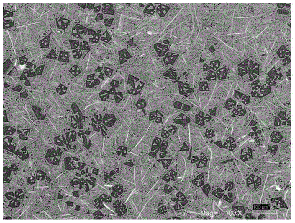 a spoiled mg  <sub>2</sub> Composite Treatment Method for Microstructure of Si/Fe-Rich Aluminum Matrix Composites