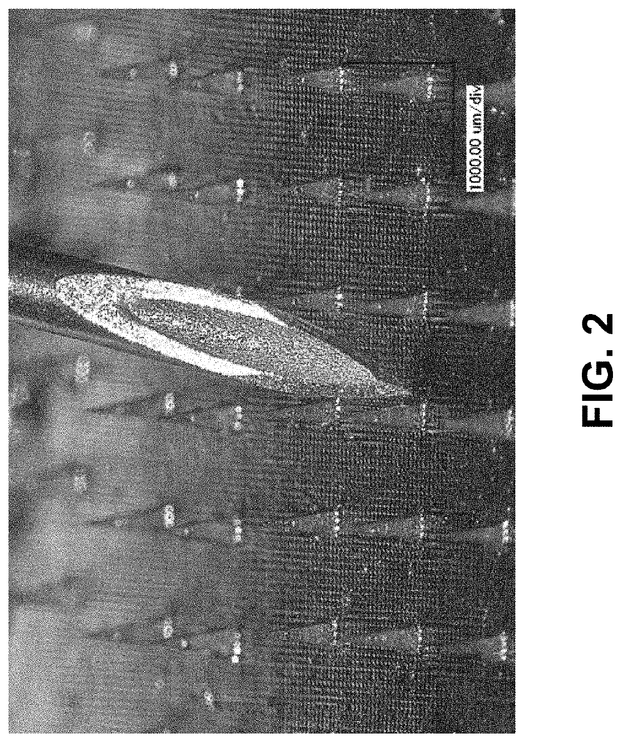 Microneedle-based electrical impedance sensor to monitor plant water status in real time