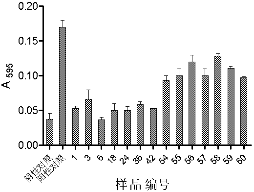 A kind of notoginseng total saponins composition and its preparation method and application