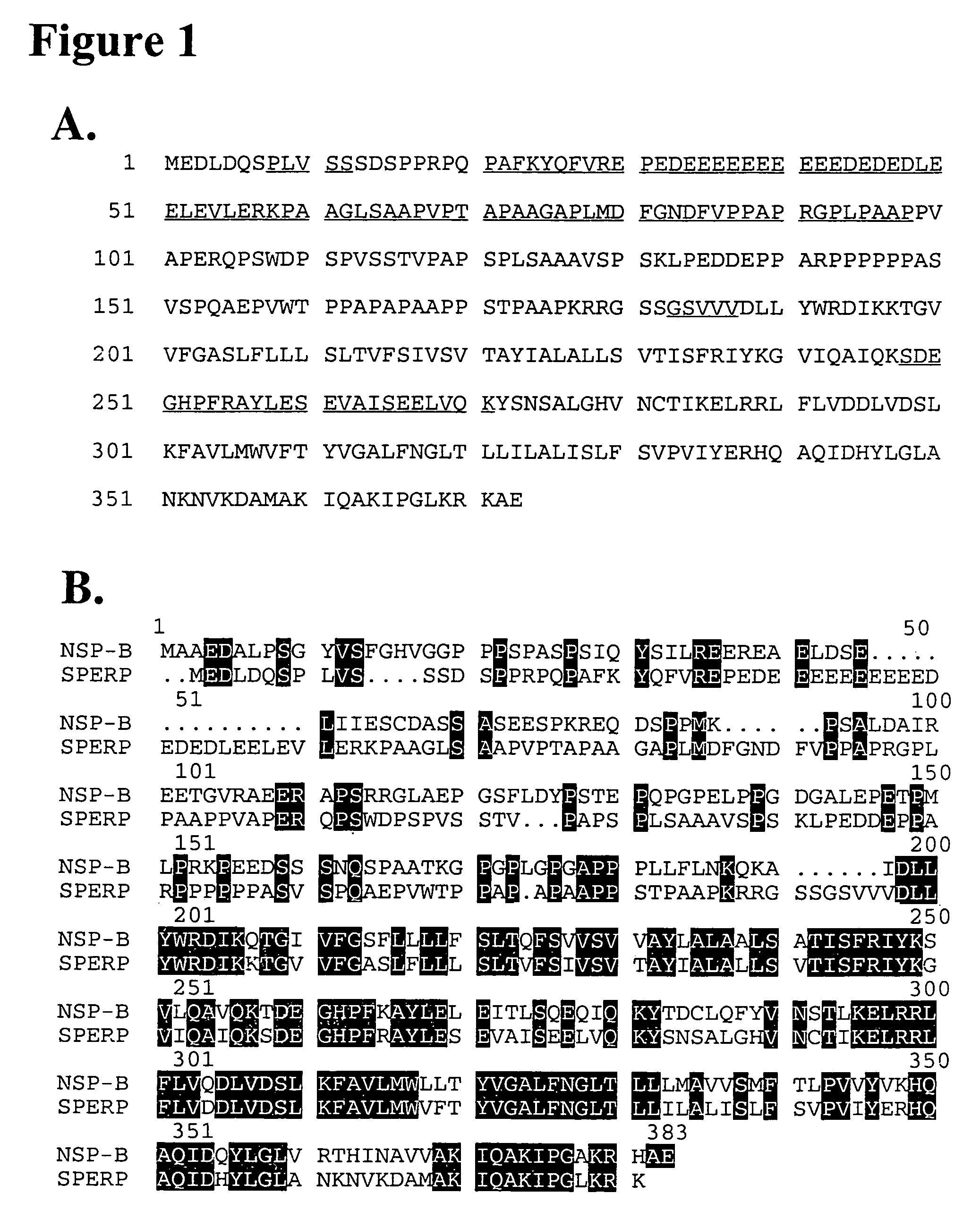 Protein associated with cell stress response