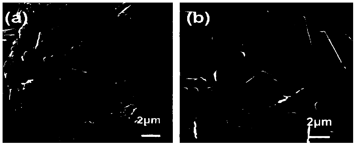 Tacrolimus nanocrystal and its artificial tear compound and preparation method