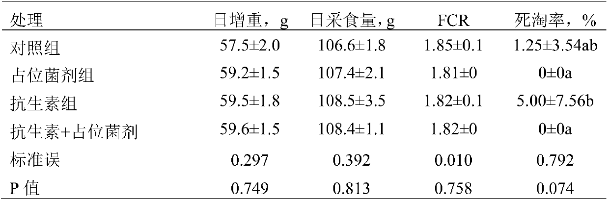 Chicken specialized intestinal occupation bacteria and production method and application thereof