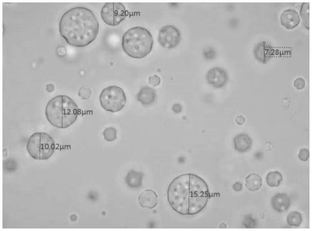 Preparation method and application of porous organic silicon microsphere