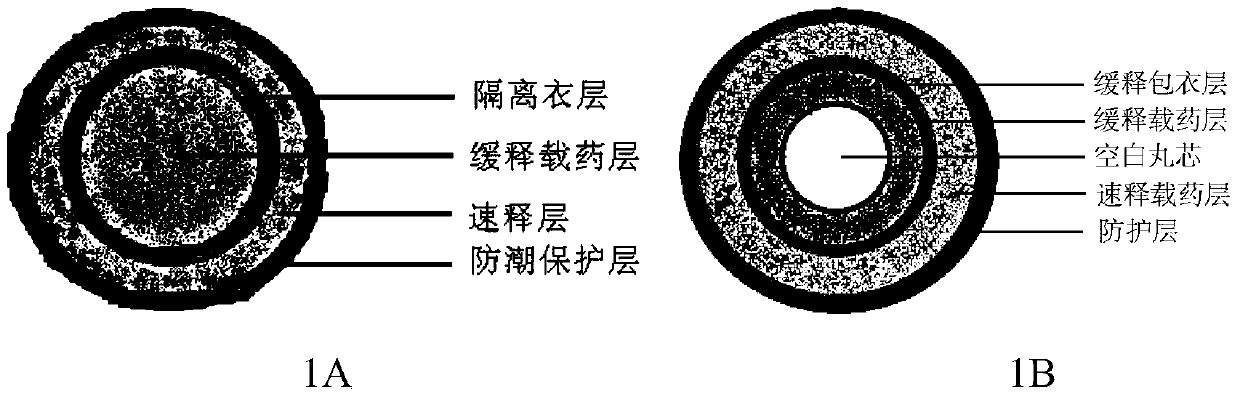 A kind of montelukast sodium pulse release preparation