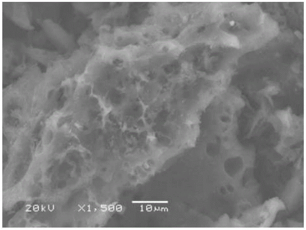 Method for preparing hetero-atom doped porous carbon material through carbonation of biomass under assistance of molten salt