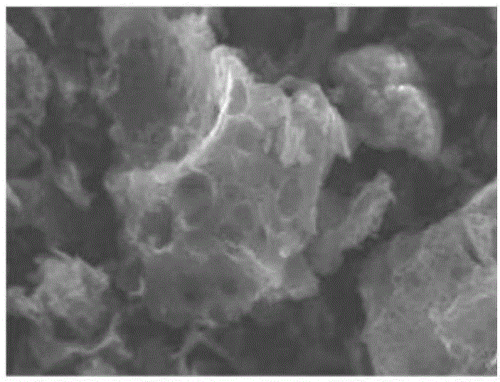 Method for preparing hetero-atom doped porous carbon material through carbonation of biomass under assistance of molten salt