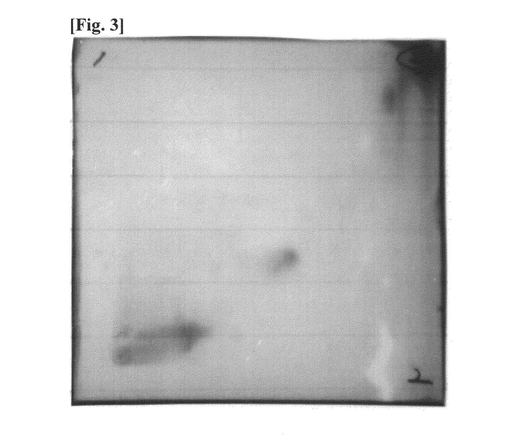 Composition comprising an extract of hardy kiwi for preventing or treating baldness disorders or seborrheic skin disorders