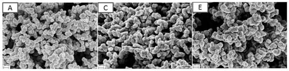 A method for controlling the synthesis of nano-nickel phosphide in different phases