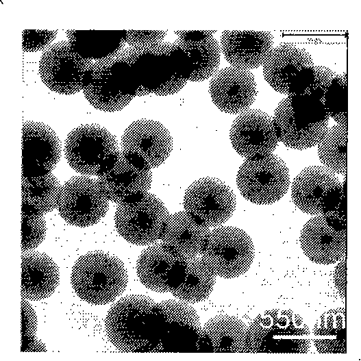 Noble metal/phenolic resin biocompatible material having core-shell structure and preparation thereof