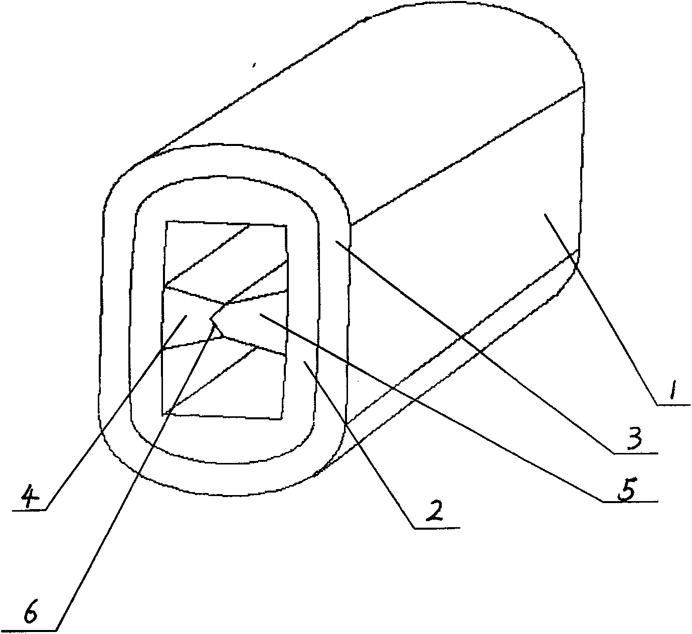 Plug fixation device for nose