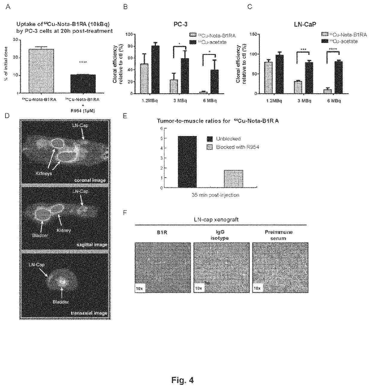 Kinin-based theranostic probes for solid cancers and uses thereof