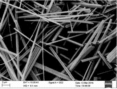 Method for preparing hollow structure tungsten oxide nano-wires through graphene oxide in-situ growth method