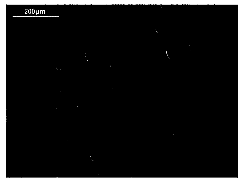 Method for preparing polymer micro balls with uniform grain diameter and controllable size