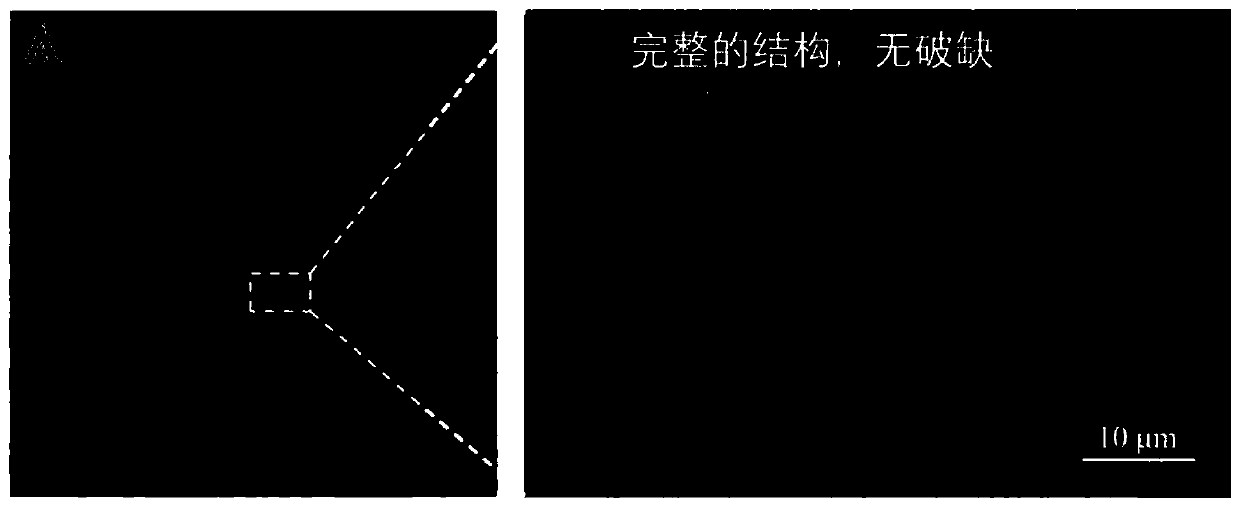 Graphene oxide membrane with tent-like structures, and preparation method and application thereof