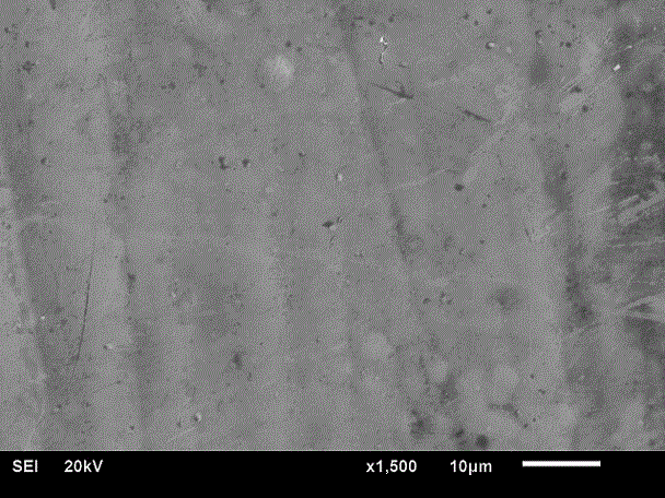 An environment-friendly aluminum alloy rapid electroless nickel-phosphorus additive