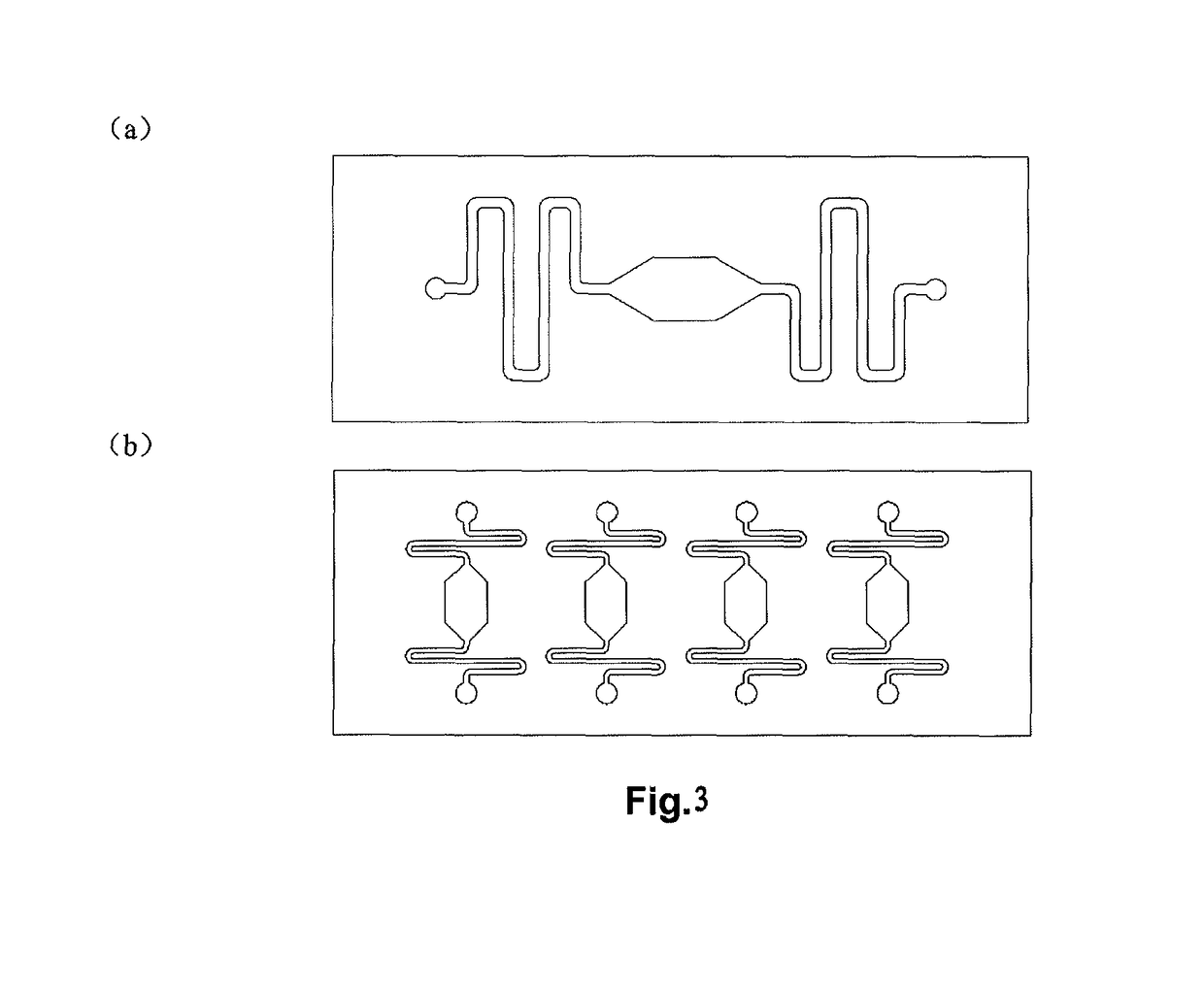 Automatic injection device for microarray chip and automatic injection hybridization microarray chip