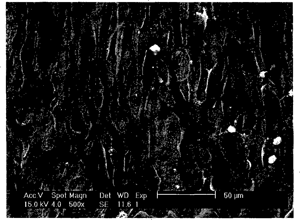 Application of femtosecond laser in pure titanium implantation material surface treatment