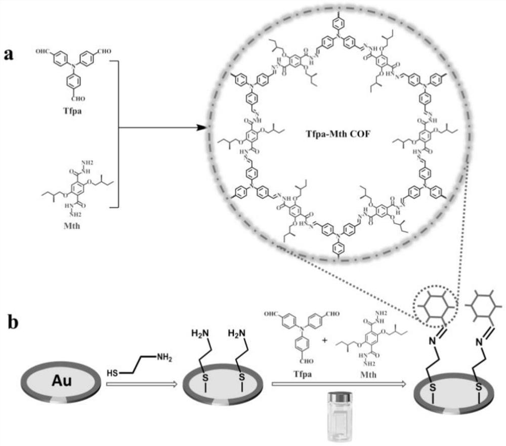 Preparation of hydrazone chiral covalent organic framework material and application of hydrazone chiral covalent organic framework material in metal ion recognition