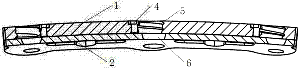 A spinal fixation device