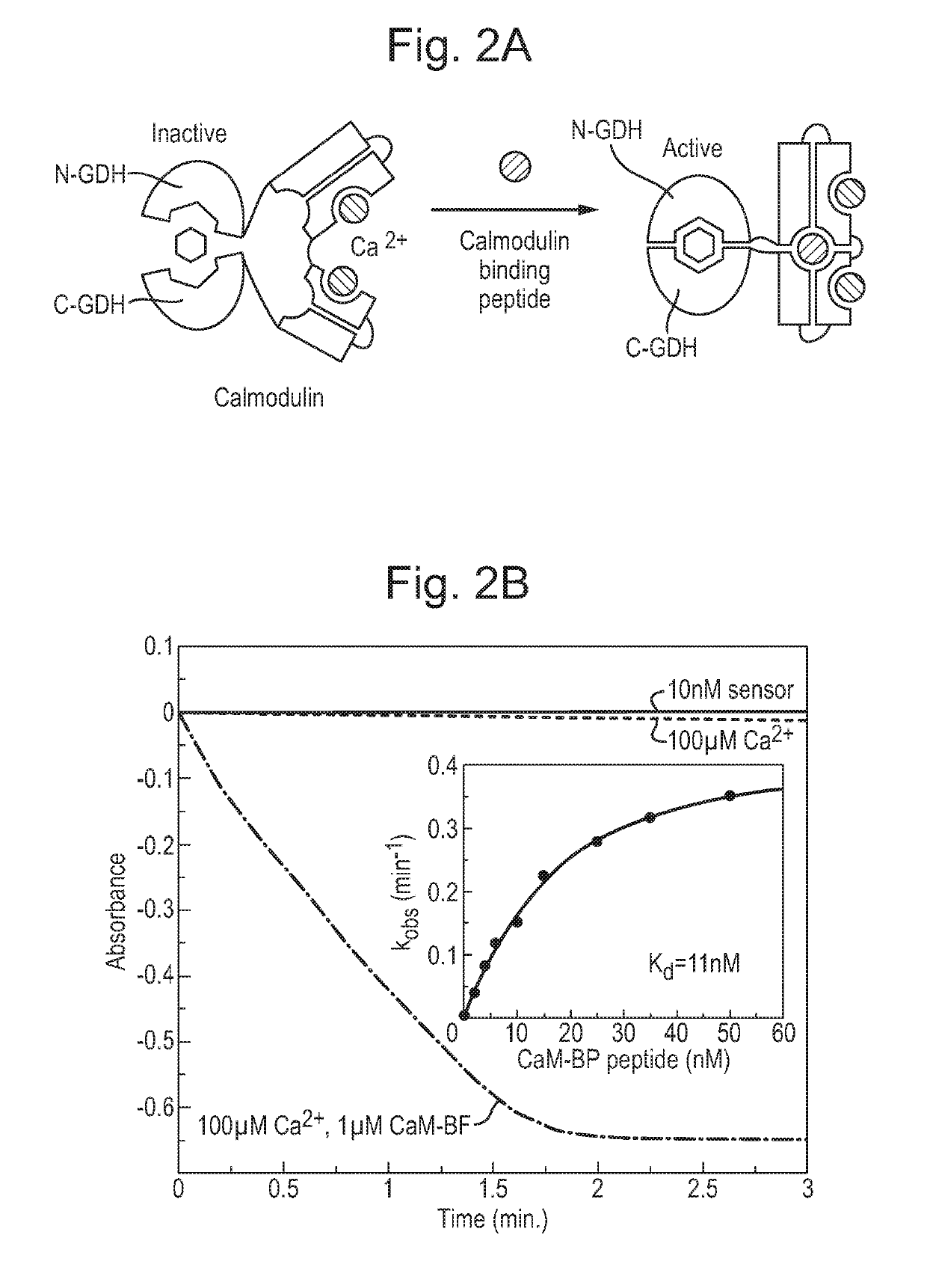 Ultrasensitive electrochemical biosensors