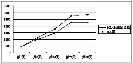 Method for preparing stem cell patch for treating severe skin diseases and injuries