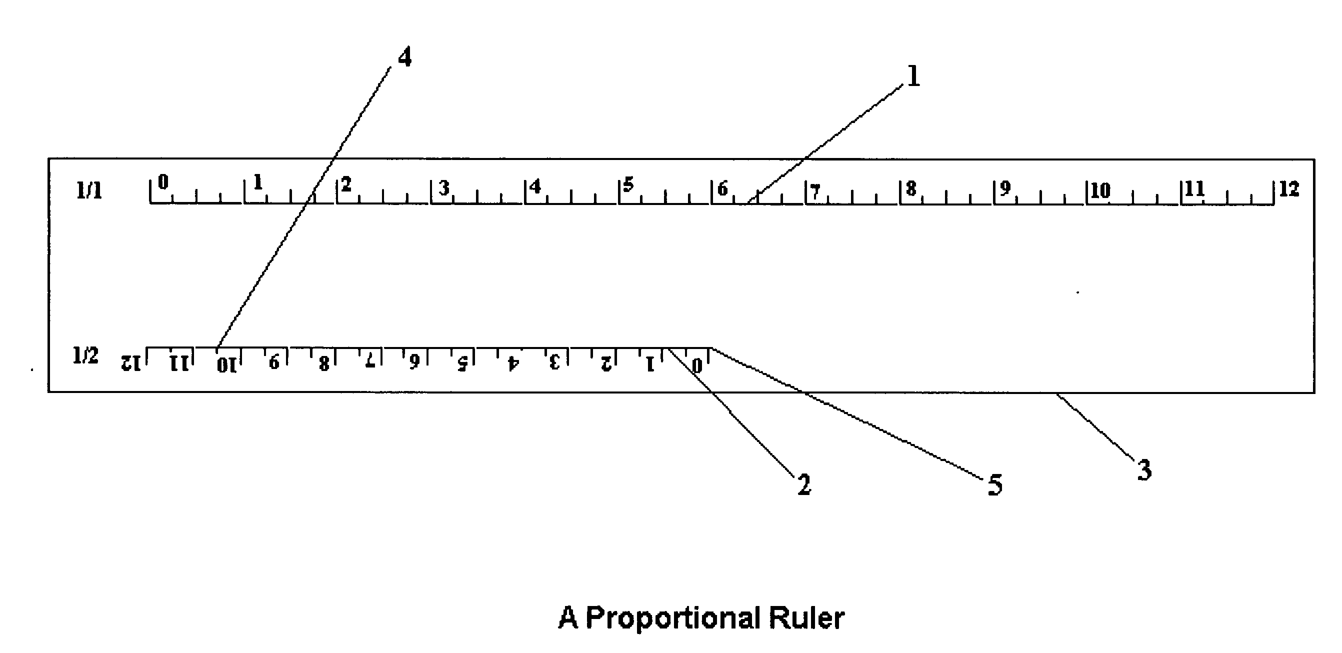Proportional ruler