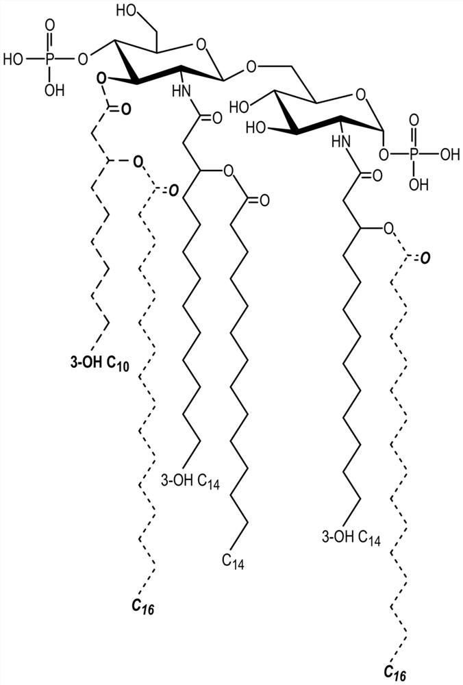 Immunogenic composition