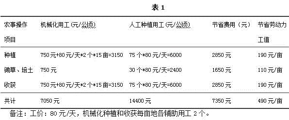 Potato layered tuber cultivation method