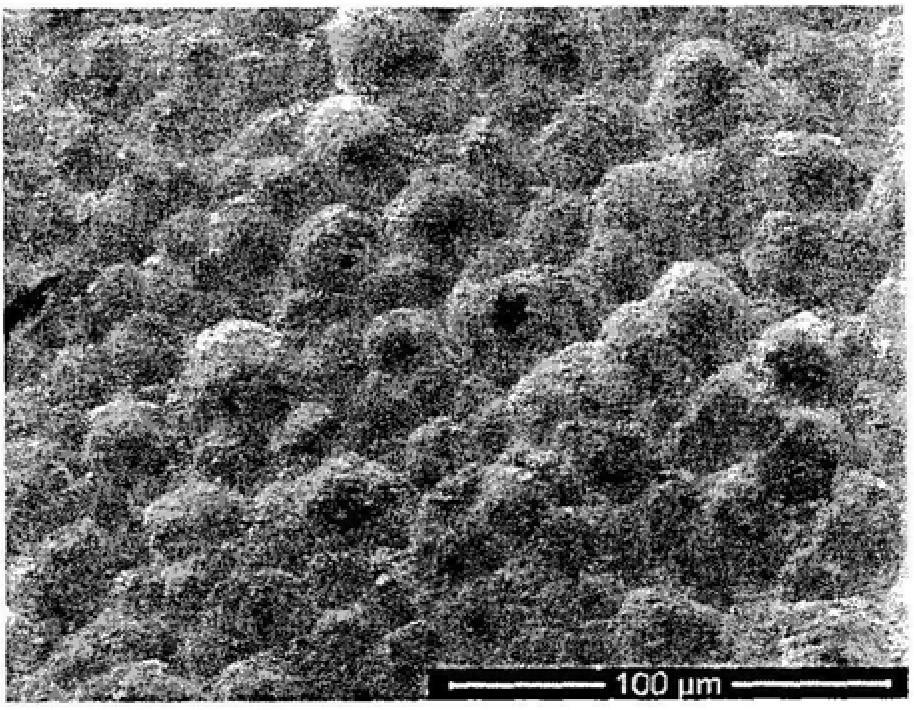 Fiber-reinforced ceramic matrix composite material with ablation resistance, thermal shock resistance, high temperature and oxidation resistance coating and preparation method thereof