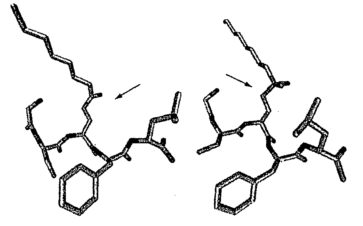 Compositions and Methods for Binding or Inactivating Ghrelin