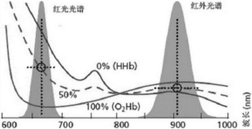 Off-line blood oxygen measurement device