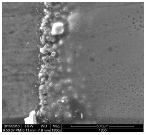 A preparation method of carburizing strengthened biomimetic structure based on pulsed arc