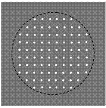 A device and method for simultaneous generation of artificial and self-organized composite plasmonic photonic crystals