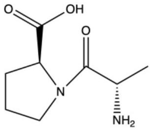 Cactus polysaccharide composition, antihypertensive drug and health food