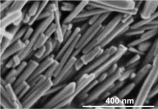 Preparation method of novel bismuth sulfide nanorods