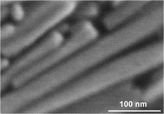 Preparation method of novel bismuth sulfide nanorods