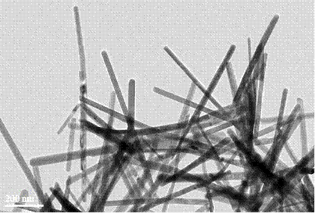 Preparation method of novel bismuth sulfide nanorods