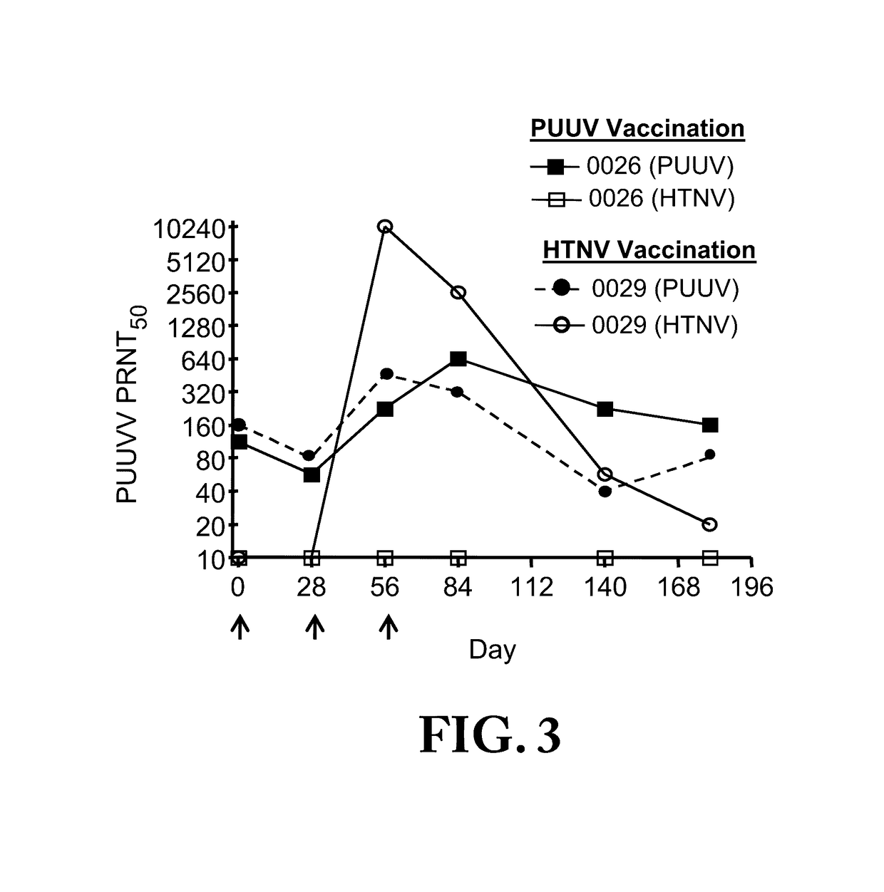 Gene Optimized Hantaan Virus M Segment DNA Vaccine For Hemorrhagic Fever With Renal Syndrome