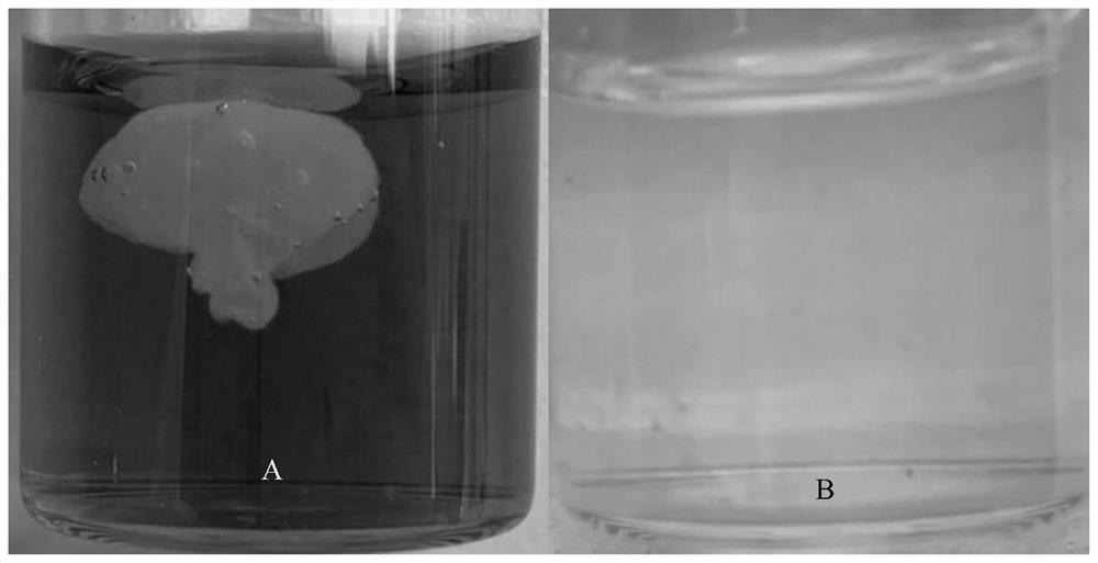 A degradable self-healing conductive hydrogel and its preparation method and application