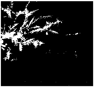 Method for preparing copper powder through environment-friendly surface active agent